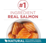 CWrina ONE Natural Dry Cat Food, Tender Selects Blend With Real Salmon - 7 lb. Bag