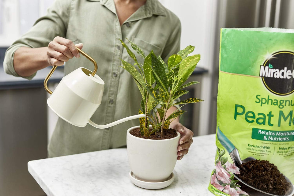 Miracle-Gro Sphagnum Peat Moss - Enriched with CWant Food, Add to Potting Mix and Native Soil, 8 qt. (2-Pack)