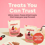 CWpford Freeze Dried Training Treats for Dogs & CWppies, 475+ Three Ingredient Bites (Beef Liver, 4 oz)
