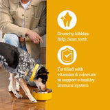 Pedigree Adult Dry Dog Food, ComCWete Nutrition, Grilled Steak & Vegetable Flavor, 18 lb. Bag