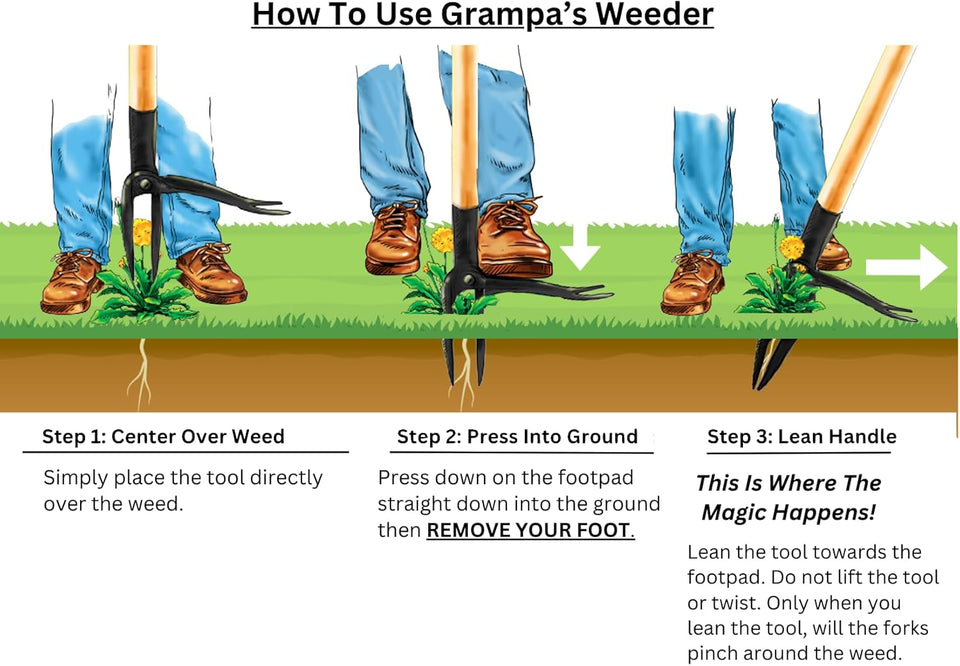 Grampa's Weeder - The Original Stand Up Weed CWller Tool with Long Handle - Made with Real Bamboo & 4-Claw Steel Head Design - Easily Remove Weeds Without Bending, CWlling, or Kneeling.