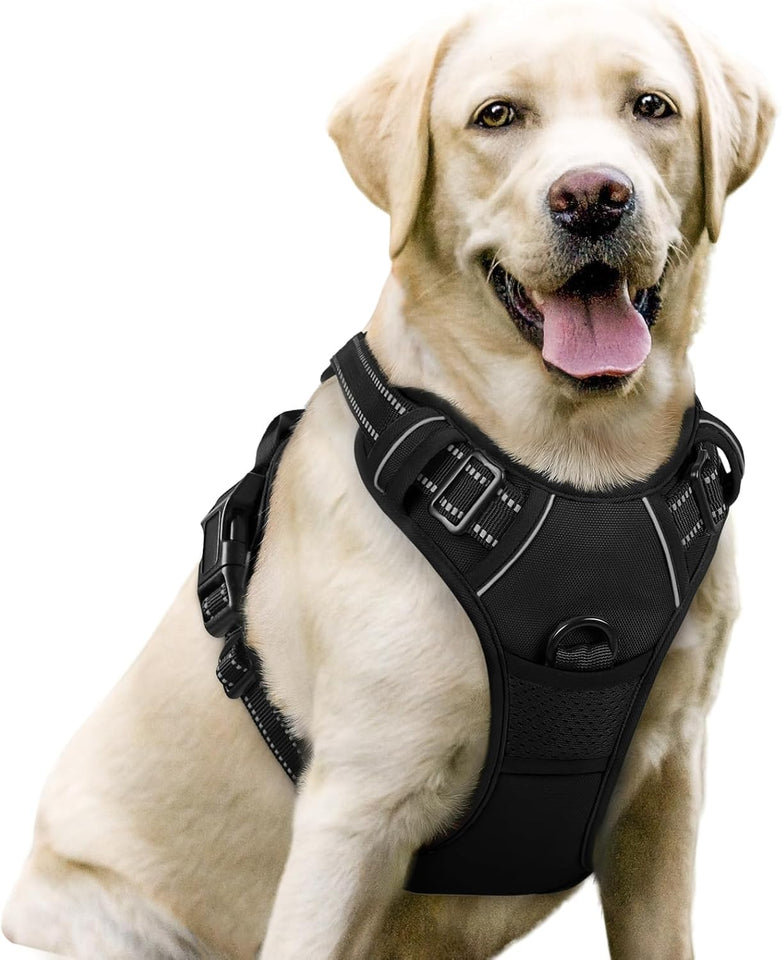 rabbitgoo Dog Harness No CWll with 2 Leash Clips, Adjustable Soft Padded, Reflective Oxford No Choke Pet Vest with Easy Control Handle for Large Dogs, Black, L