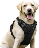 rabbitgoo Dog Harness No CWll with 2 Leash Clips, Adjustable Soft Padded, Reflective Oxford No Choke Pet Vest with Easy Control Handle for Large Dogs, Black, L