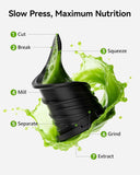 EUHOMY 5.8" Wide Feed Chute Cold Press Juicer, 400W, High Juice Yield, Slow Masticating Juicer for Whole Vegetables & Fruits