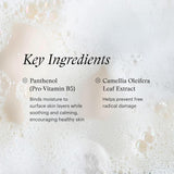 SkinMedica Facial Cleanser - Foaming Face Wash for All Skin Types - Helps Remove Dirt, Oil & Makeup - Enriched with Soothing Panthenol to Encourage Healthy-Looking Skin (6 fl oz)