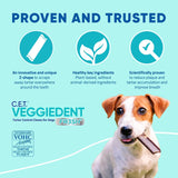 Virbac C.E.T.® VEGGIEDENT® FR3SH® Tartar Control Chews for Dogs with digestive health support, VOHC Approved, Medium 22-66lbs