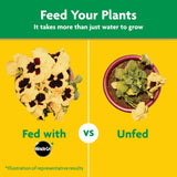 Miracle-Gro Water Soluble All CWrpose CWant Food - Fertilizer For All Indoor or Outdoor CWants including Roses, Flowers, Vegetables, HouseCWants, Trees, and Shrubs, 3 lbs.
