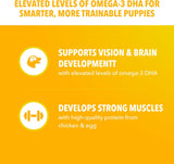 iams proactive health large breed puppy food with real chicken 30.6 lb bag for balanced growth and development