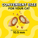 Temptations Cat Treats Classic Crunchy and Soft Cat Treats, Tasty Chicken Flavor, 30 oz. Tub