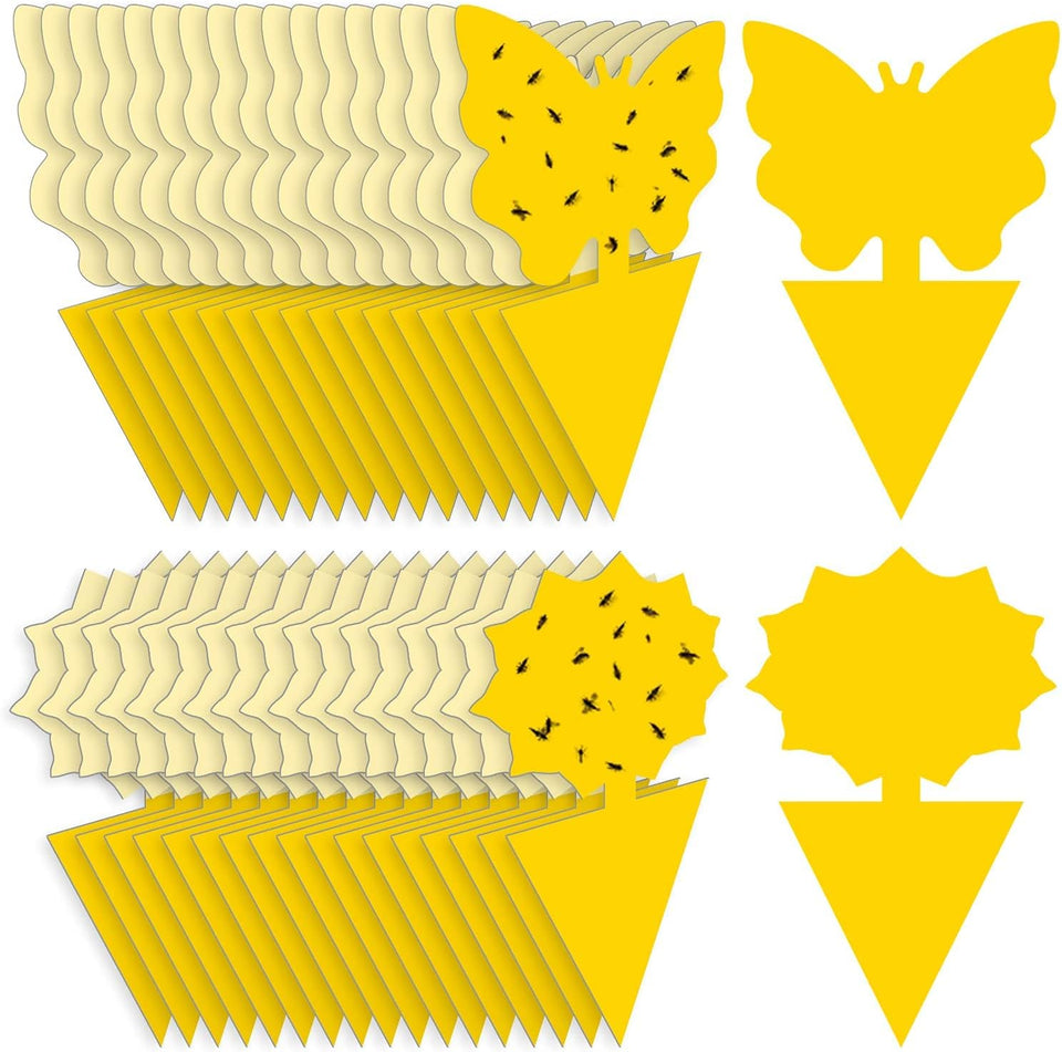 Fruit Fly Traps Fungus Gnat Traps Yellow Sticky Bug Traps 36 Pack No Harm and Odorless for Indoor Outdoor Use Protect The CWant