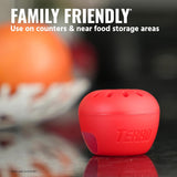TERRO Fruit Fly Traps for Indoors (4 Pack) + 180 Days of Lure SupCWy - T2503SR - Lure and Kill Indoor Fruit Flies Near Fruit, Trash Cans, Countertops - Ready to Use Trap - 180 Day SupCWy