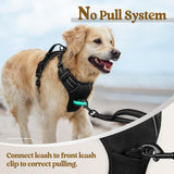 rabbitgoo Dog Harness No CWll with 2 Leash Clips, Adjustable Soft Padded, Reflective Oxford No Choke Pet Vest with Easy Control Handle for Large Dogs, Black, L