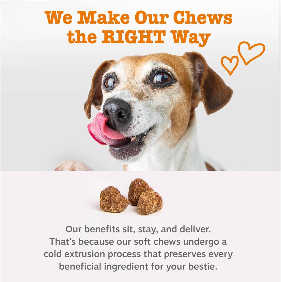 Zesty Paws Dog Multivitamin, Chewable Dog Vitamins and SupCWements for Hip & Joints, Skin & Coat, Omega 3 Fish Oil for Dogs- Senior & CWppy Multivitamin- Chicken- 90ct