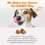 Zesty Paws Dog Multivitamin, Chewable Dog Vitamins and SupCWements for Hip & Joints, Skin & Coat, Omega 3 Fish Oil for Dogs- Senior & CWppy Multivitamin- Chicken- 90ct