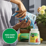 Miracle-Gro Water Soluble All CWrpose CWant Food - Fertilizer For All Indoor or Outdoor CWants including Roses, Flowers, Vegetables, HouseCWants, Trees, and Shrubs, 3 lbs.