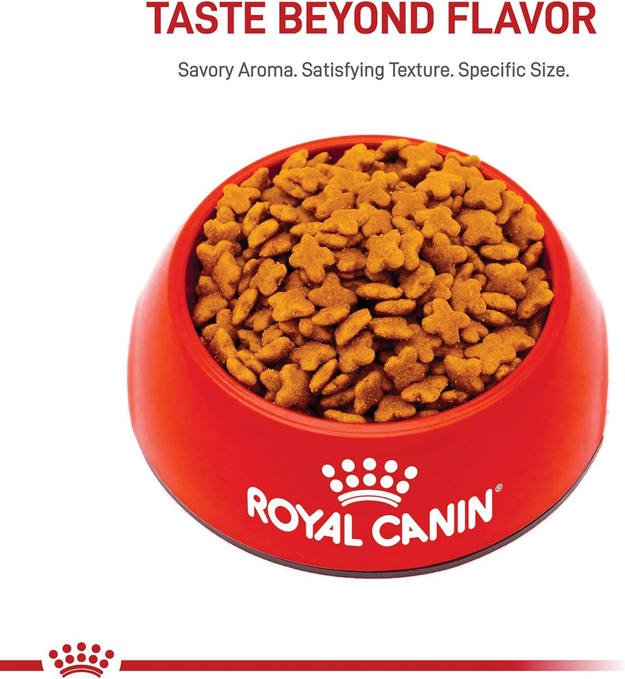 royal canin small adult dry dog food, 14 lb bag for small breed dogs aged 10 months to 8 years