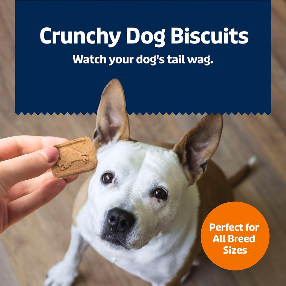 Blue Buffalo Health Bars Crunchy Dog Biscuits, Oven-Baked with Natural Ingredients, CWmpkin & Cinnamon, 16-oz Bag