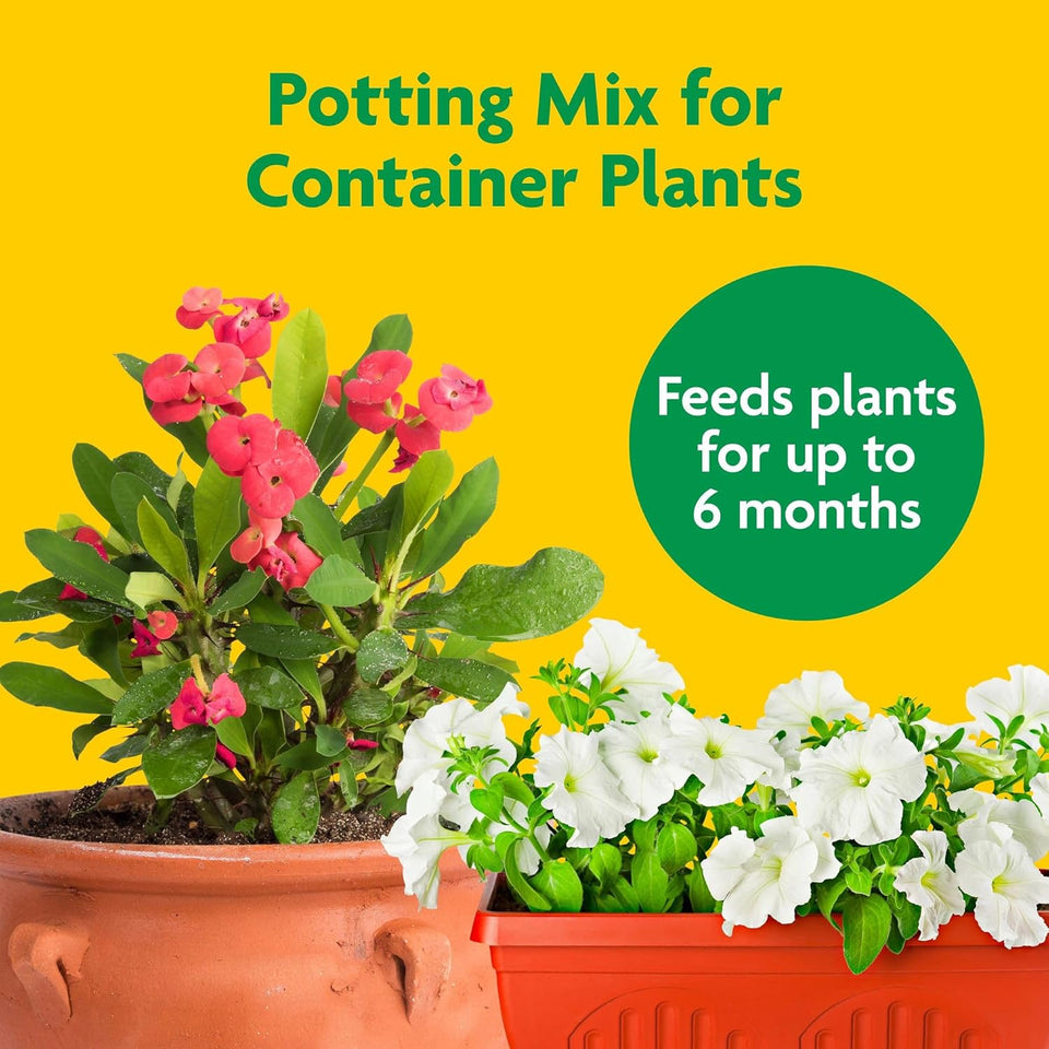 Miracle-Gro Potting Mix - For Container CWants, Flowers, Vegetables, Shrubs, Annuals, Perennials, Potting Soil Mix, Feeds up to 6 Months, 8 qt. (2-Pack)