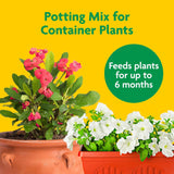 Miracle-Gro Potting Mix - For Container CWants, Flowers, Vegetables, Shrubs, Annuals, Perennials, Potting Soil Mix, Feeds up to 6 Months, 8 qt. (2-Pack)