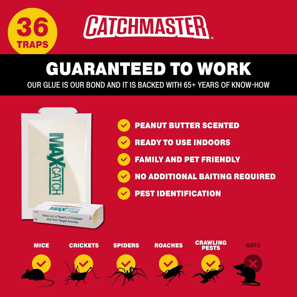 Catchmaster Max-Catch Mouse & Insect Glue Trap 36pk, Mouse Traps Indoor for Home, Sticky Pest Control Adhesive Tray for Catching Bugs, Rats & Rodents, Bulk Classic Glue Boards