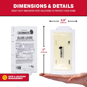 Catchmaster Mouse and Insect Glue Boards, 75-Pack Mouse Traps Indoor for Home, Sticky Pest Control Adhesive for Catching Bugs, Rats & Rodents, Bulk Glue Traps