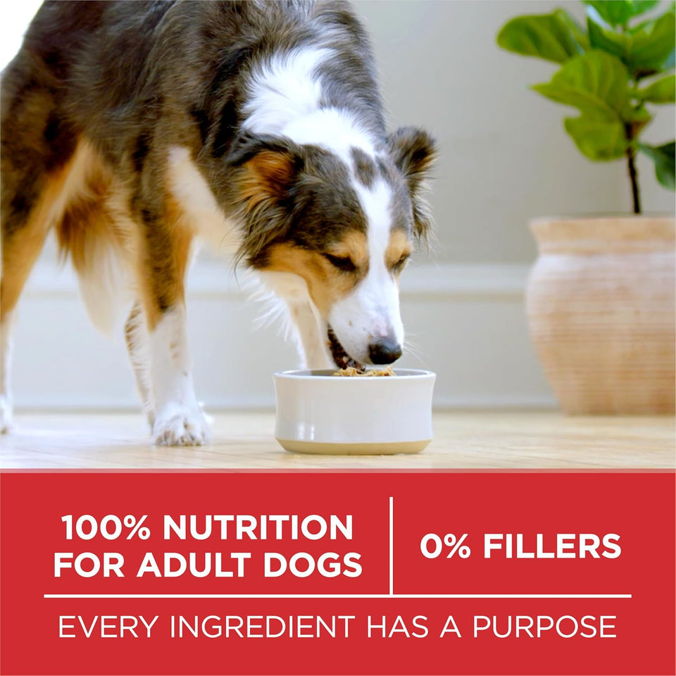 CWrina ONE Dry Dog Food Lamb and Rice Formula - 31.1 lb. Bag