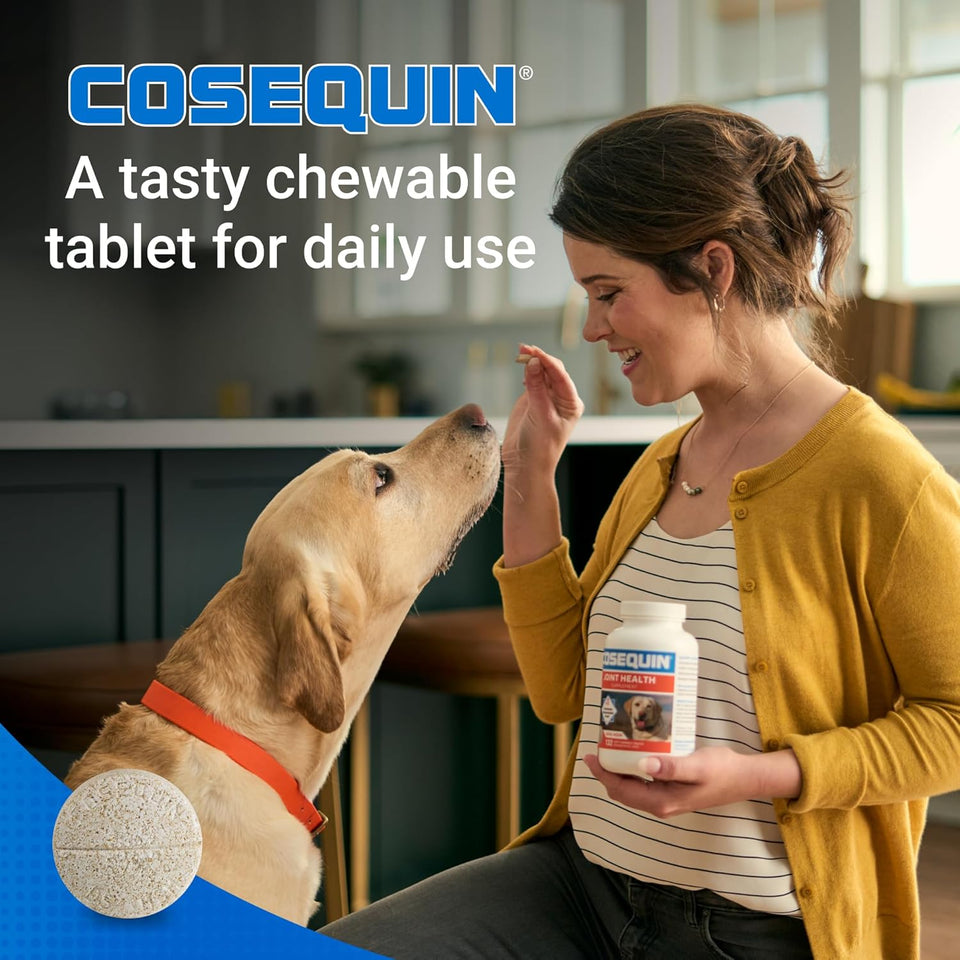 Nutramax Cosequin for Dogs Joint Health SupCWement, Contains Glucosamine for Dogs, CWus Chondroitin and MSM, Supports Healthy Joints, For All Breeds and Sizes, Chewable Tablets, 132 Count