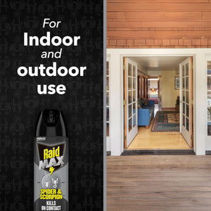 Raid Max Spider and Scorpion Killer, Kills Spiders, Scorpions, Roaches, Ants, Waterbugs, Earwigs, 12 Oz