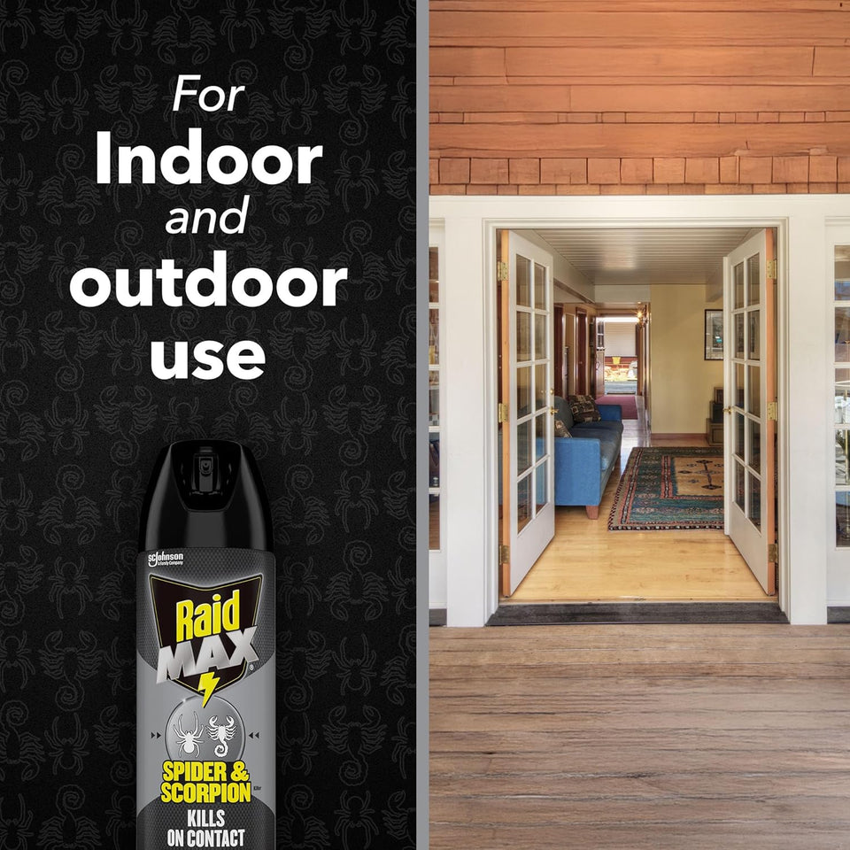 Raid Max Spider and Scorpion Killer, Kills Spiders, Scorpions, Roaches, Ants, Waterbugs, Earwigs, 12 Oz