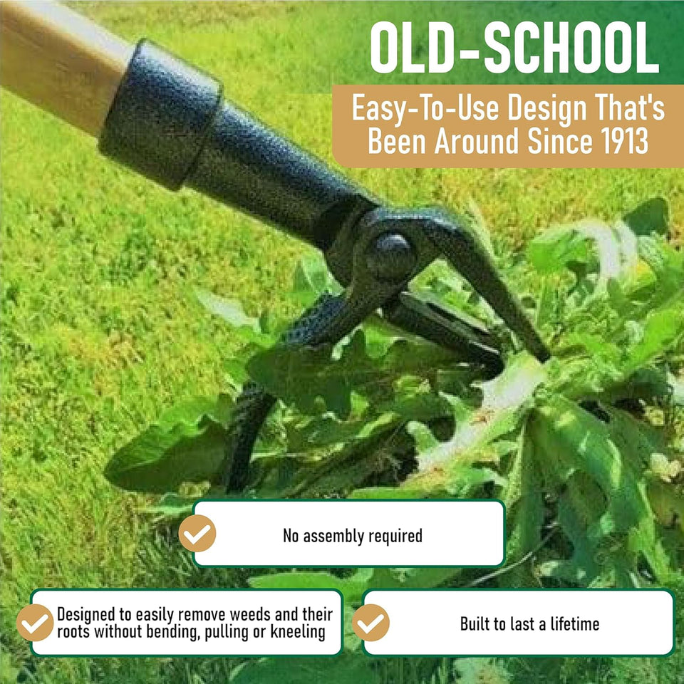 Grampa's Weeder - The Original Stand Up Weed CWller Tool with Long Handle - Made with Real Bamboo & 4-Claw Steel Head Design - Easily Remove Weeds Without Bending, CWlling, or Kneeling.