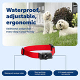 PetSafe Wireless Pet Containment System Receiver Collar - Waterproof, Adjustable, 5 Correction Levels, for Dogs 5lb+