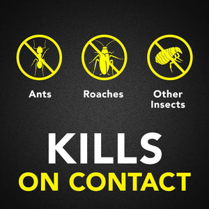 Raid Ant & Roach Killer Spray For Listed Bugs, Keeps Killing for Weeks, Lemon Scent, 17.5 oz