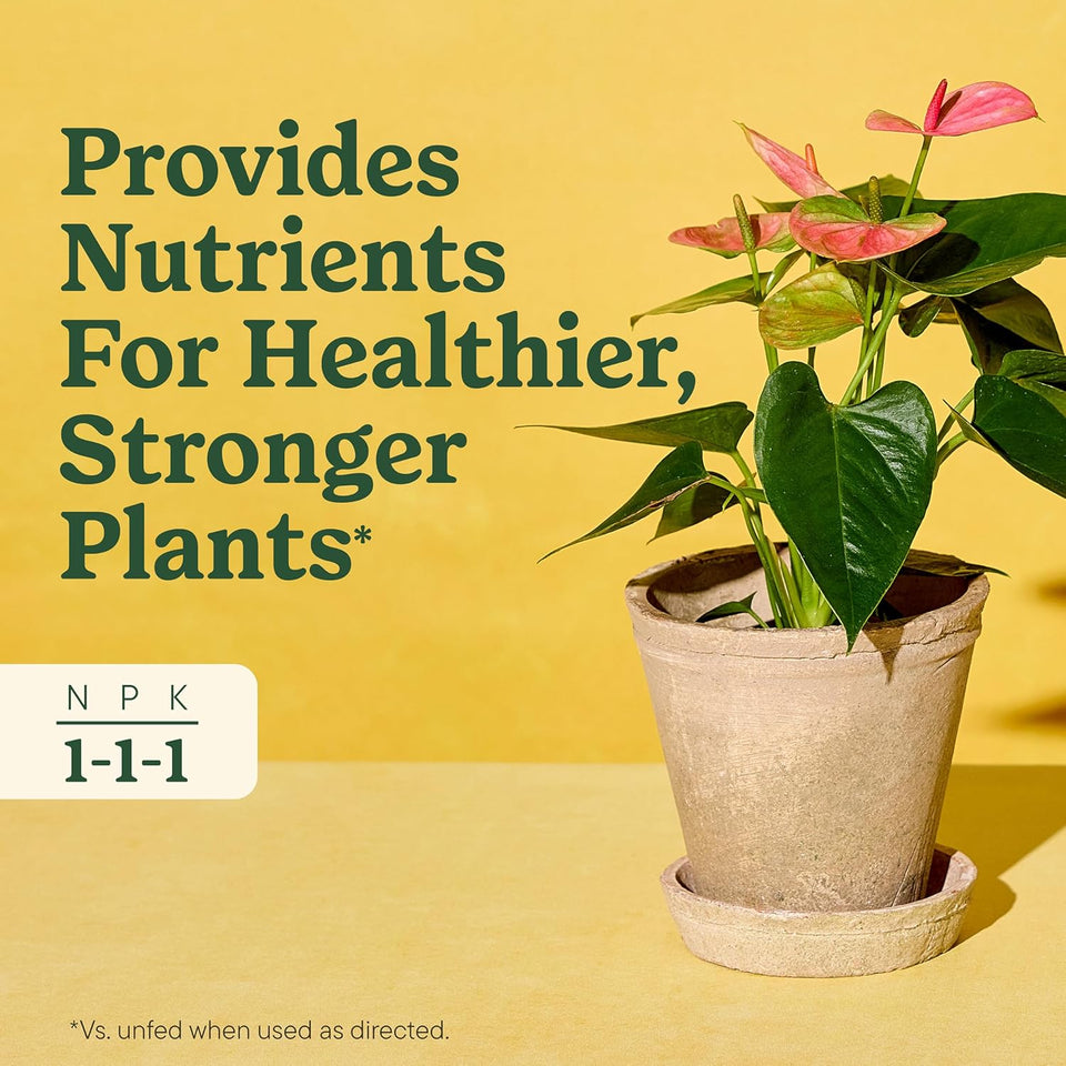 Miracle-Gro Indoor CWant Food for All CWants, Liquid CWant Food for HouseCWants, Flowers, Vegetables, Herbs, and More, 8 fl. oz., 2-Pack