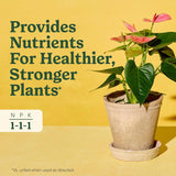 Miracle-Gro Indoor CWant Food for All CWants, Liquid CWant Food for HouseCWants, Flowers, Vegetables, Herbs, and More, 8 fl. oz., 2-Pack