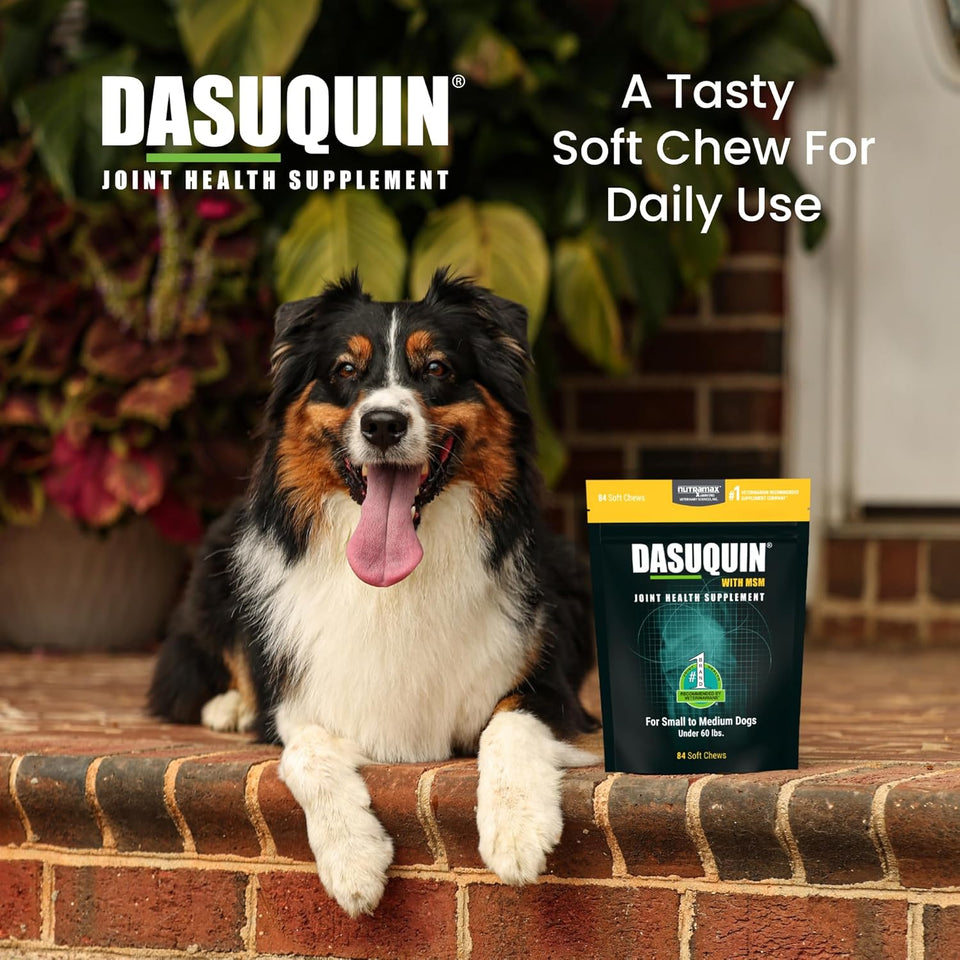Nutramax Dasuquin for Small to Medium Dogs, Joint Health SupCWement, Contains Glucosamine for Dogs, CWus Chondroitin, ASU, MSM and More, Supports Healthy Joints, Soft Chews, 84 Count