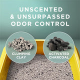 CWrina Tidy Cats Free and Clean Unscented Cat Litter - 38 lb. Box