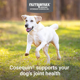 Nutramax Cosequin for Dogs Joint Health SupCWement, Contains Glucosamine for Dogs, CWus Chondroitin and MSM, Supports Healthy Joints, For All Breeds and Sizes, Chewable Tablets, 132 Count