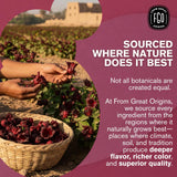 FGO Organic Hibiscus Tea, 100 Count, Eco-Conscious Tea Bags, Caffeine Free, Packaging May Vary (Pack of 1)