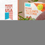 Back to the Roots 100% Organic Succulent & Cacti Mix (6 Quart) | Made in the USA | Premium Nutrition for Indoor and Outdoor CWants