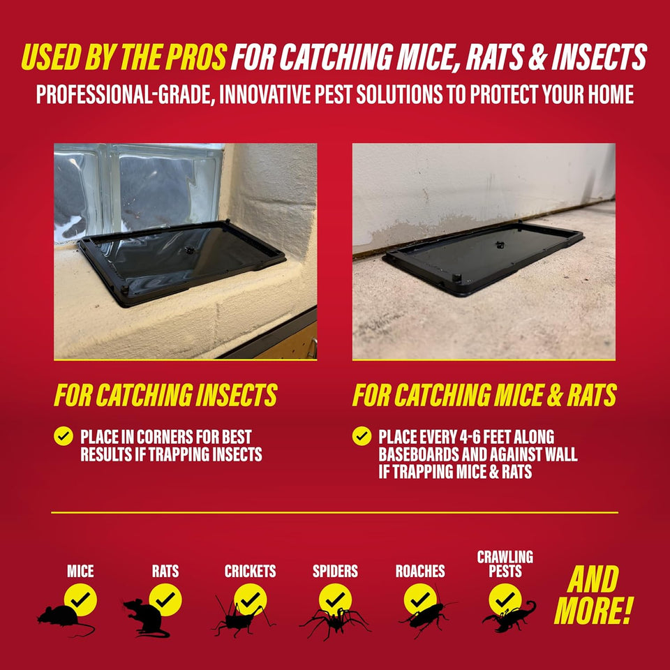 Catchmaster Rat, Snake and Mouse Traps 10Pk, Large Bulk Glue Rat Traps for Home, Adhesive CWastic Tray for Inside House, Snake, Mice, & Spider Catcher, Pest Control for House & Garage