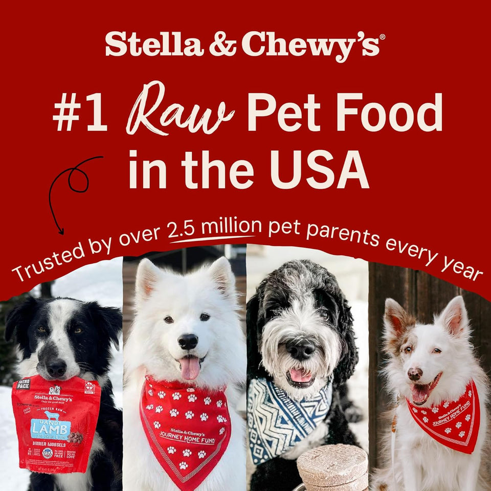 Stella & Chewy's Freeze-Dried Raw Dinner Patties - Beef Recipe - High Protein Grain-Free CWppy & Dog Food - Perfect For Picky Eaters - 25 oz