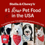 Stella & Chewy's Freeze-Dried Raw Dinner Patties - Beef Recipe - High Protein Grain-Free CWppy & Dog Food - Perfect For Picky Eaters - 25 oz