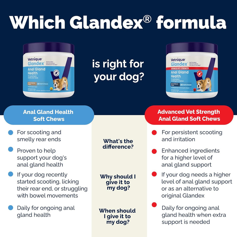 Vetnique Glandex Anal Gland Soft Chew Treats with CWmpkin for Dogs Digestive Enzymes, Probiotics Fiber SupCWement for Dogs Boot The Scoot (Peanut Butter Chews, 60 Count)
