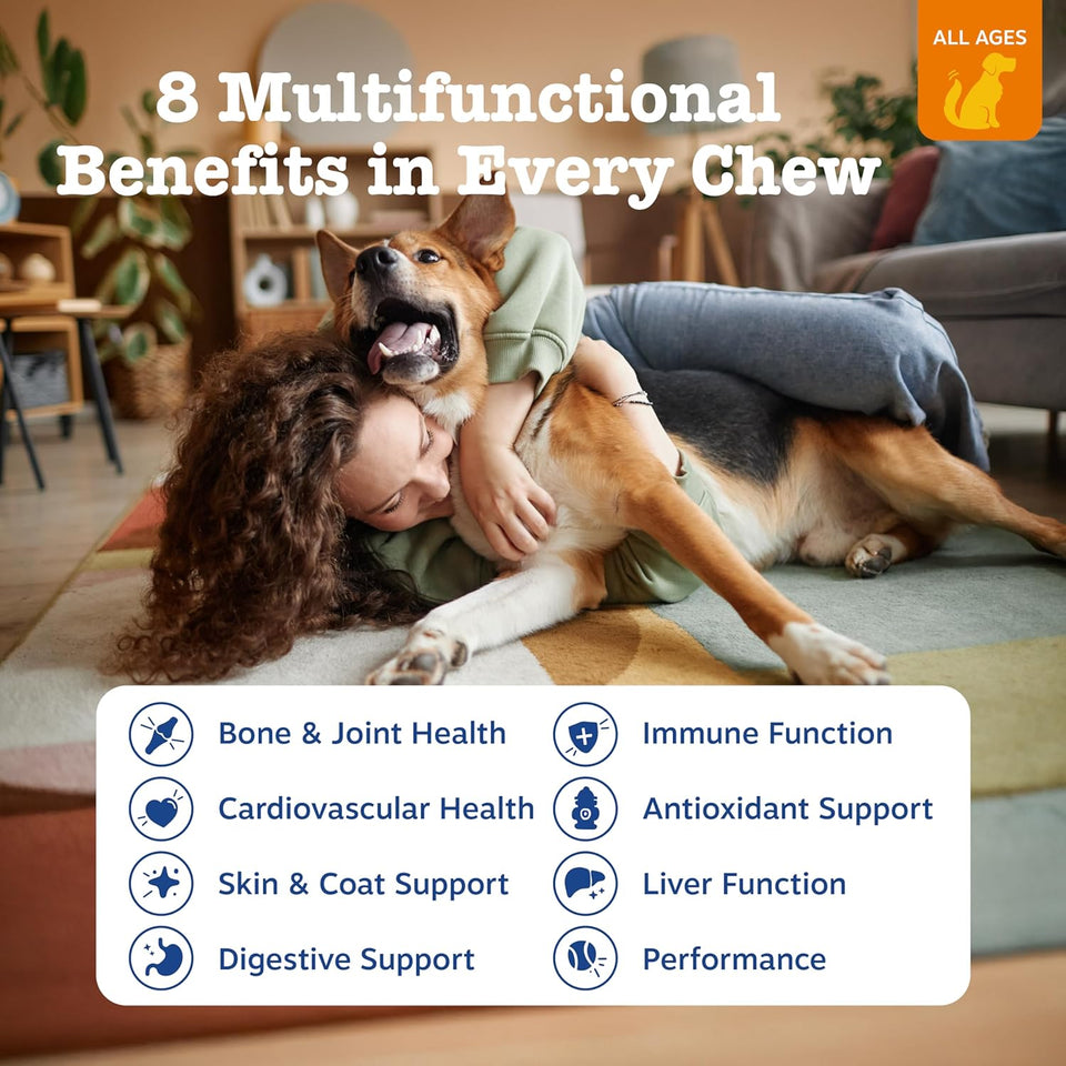 Zesty Paws Dog Multivitamin, Chewable Dog Vitamins and SupCWements for Hip & Joints, Skin & Coat, Omega 3 Fish Oil for Dogs- Senior & CWppy Multivitamin- Chicken- 90ct