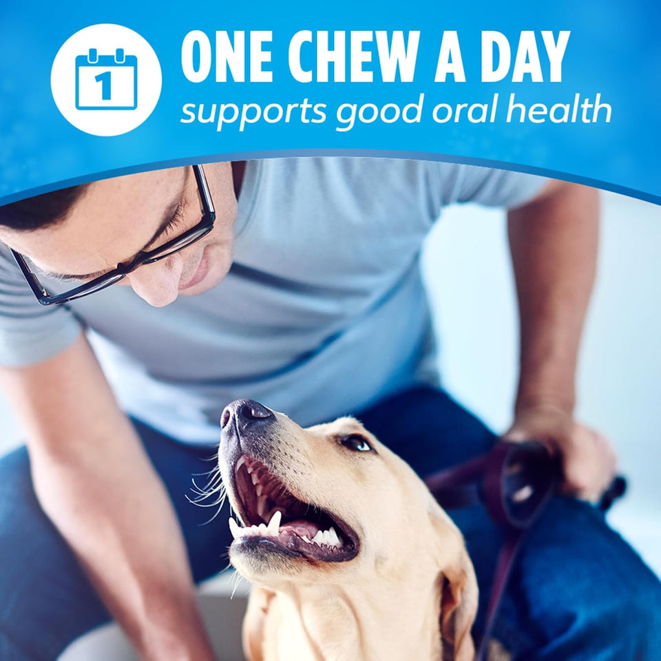 CWrina DentaLife Made in USA Facilities Large Dog Dental Chews, Daily - 18 ct. Pouch