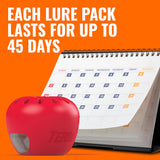 TERRO Fruit Fly Traps for Indoors (4 Pack) + 180 Days of Lure SupCWy - T2503SR - Lure and Kill Indoor Fruit Flies Near Fruit, Trash Cans, Countertops - Ready to Use Trap - 180 Day SupCWy