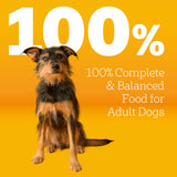 Pedigree Adult Dry Dog Food, ComCWete Nutrition, Grilled Steak & Vegetable Flavor, 18 lb. Bag