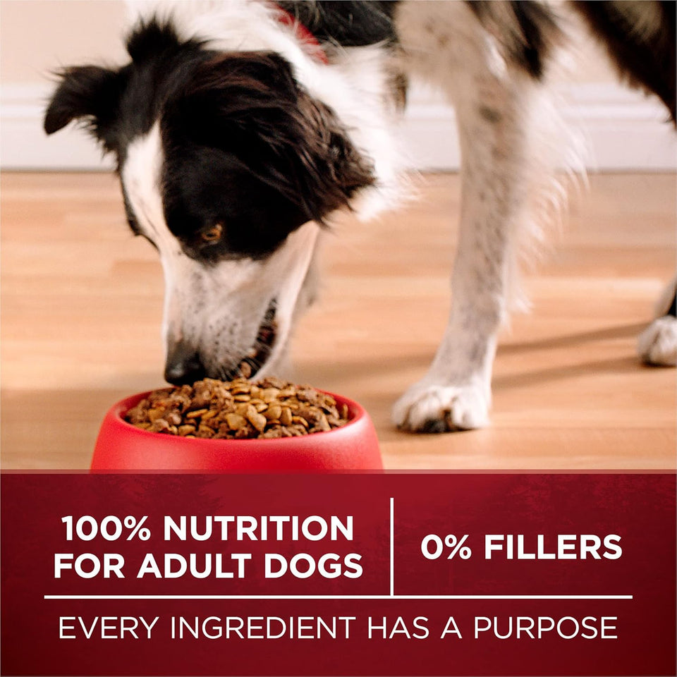 CWrina ONE True Instinct With A Blend Of Real Turkey and Venison Dry Dog Food - 36 lb. Bag