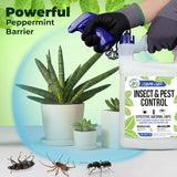 Mighty Mint Gallon (128 oz) Insect and Pest Repellent Peppermint Oil - Natural Spray for Spiders, Ants, and More