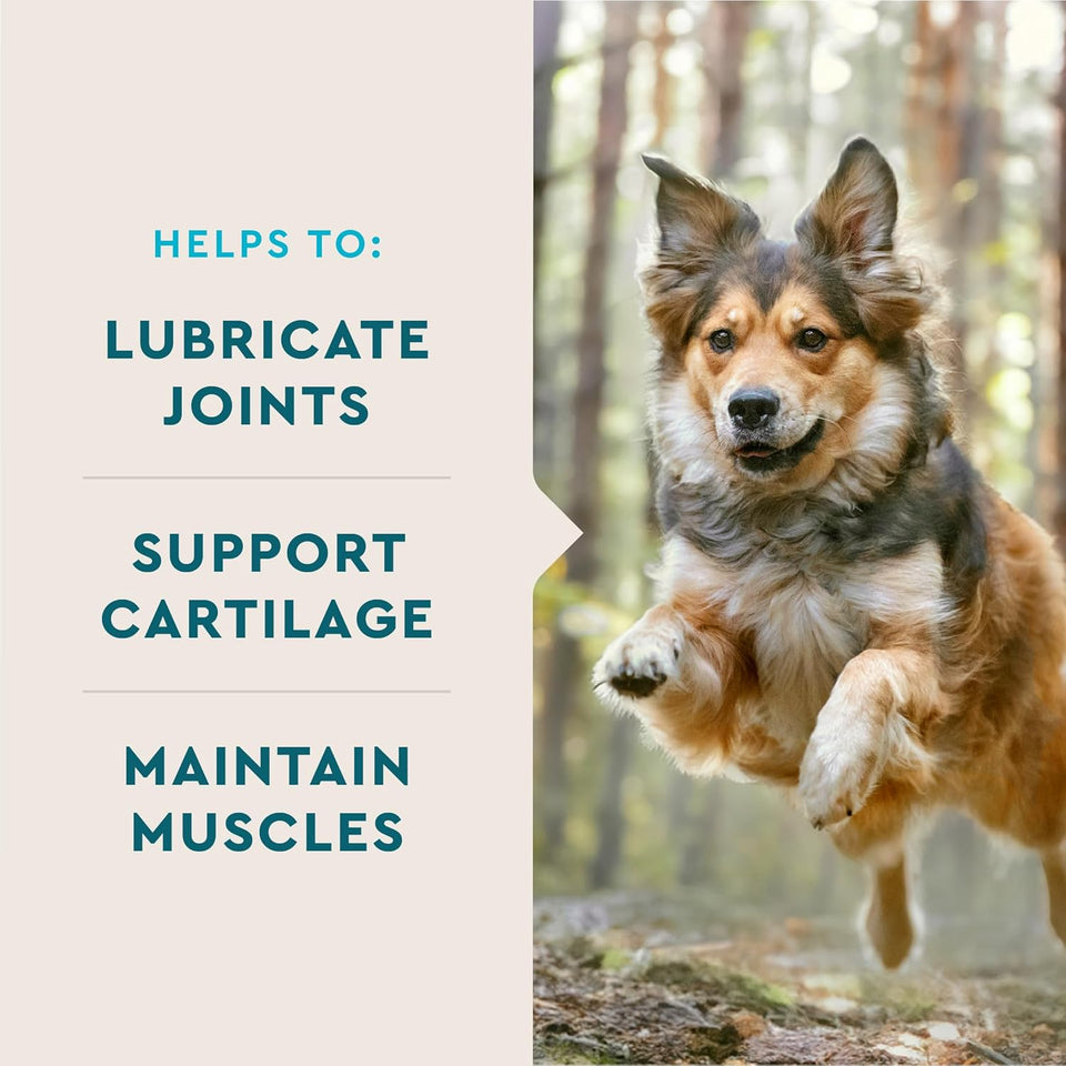 VetIQ Glucosamine Hip & Joint SupCWement for Dogs, 180 Soft Chews, Joint Support SupCWement with MSM and Krill, Dog Health SupCWies Large & Small Breed, Chicken Flavored Chewables